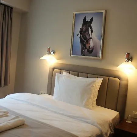 Hotel Armida 3*